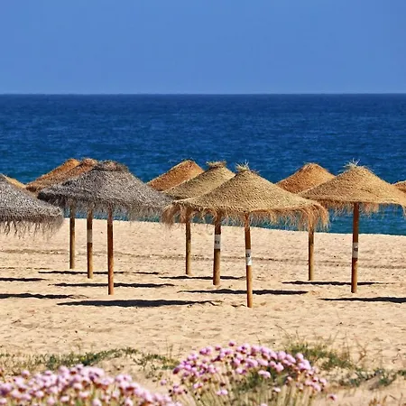 Centralgarve - Cosy&central 1bdrm In - Pateos Da Marina